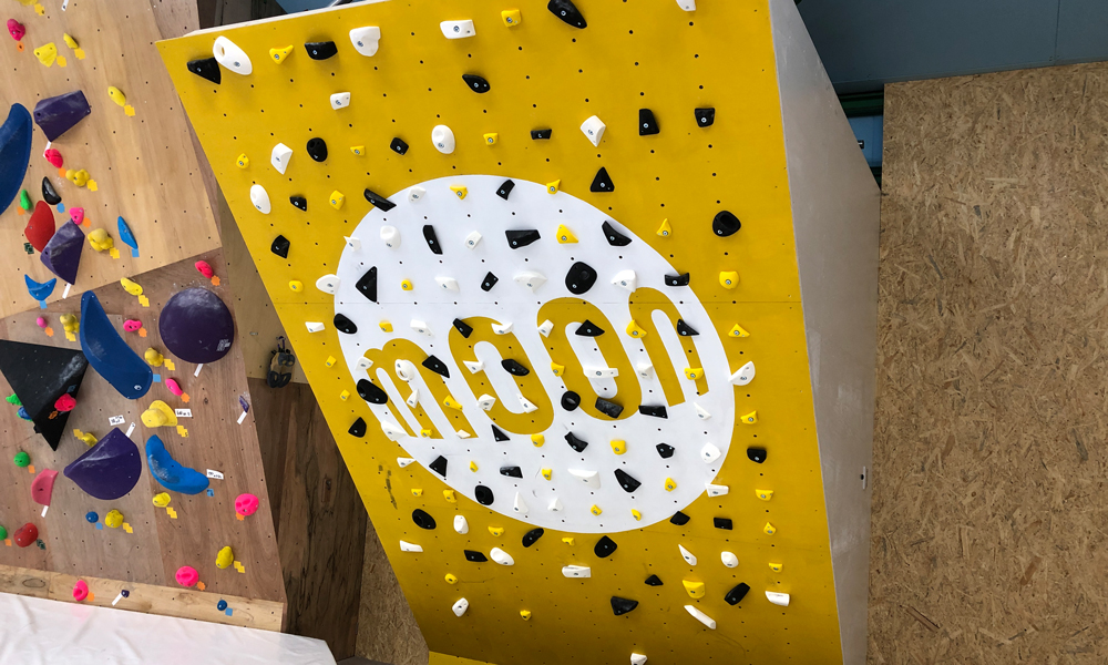 ムーンボード全体